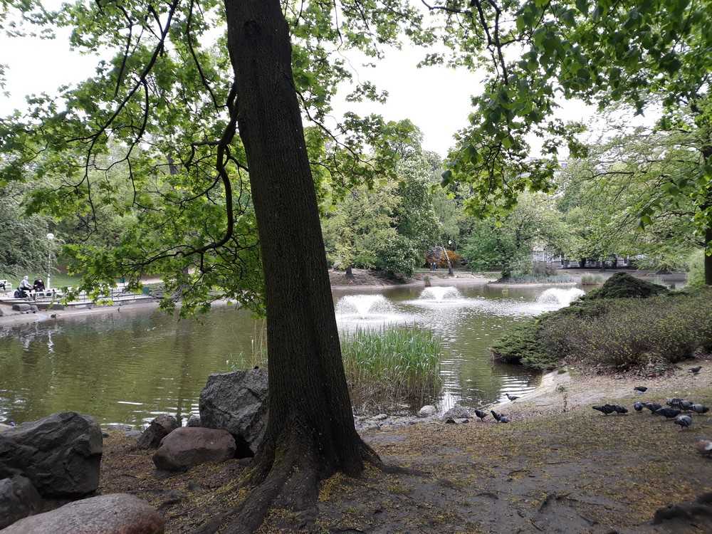 Park Thomasa Woodrowa Wilsona - Poznań