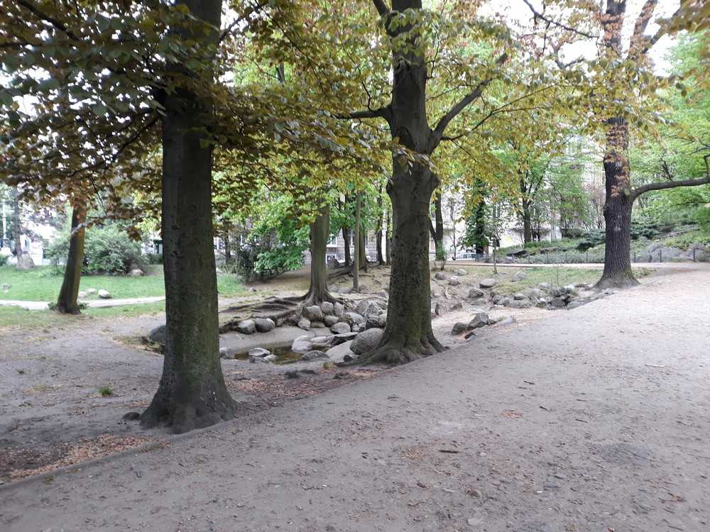 Park Thomasa Woodrowa Wilsona - Poznań