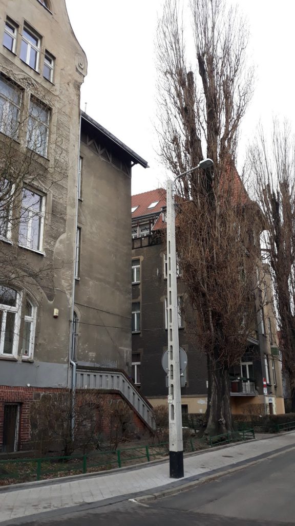 Ulica Franklina Roosevelta w Poznaniu - Jeżycka Secesja