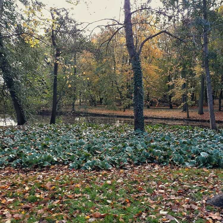 Park Sołacki w Poznaniu