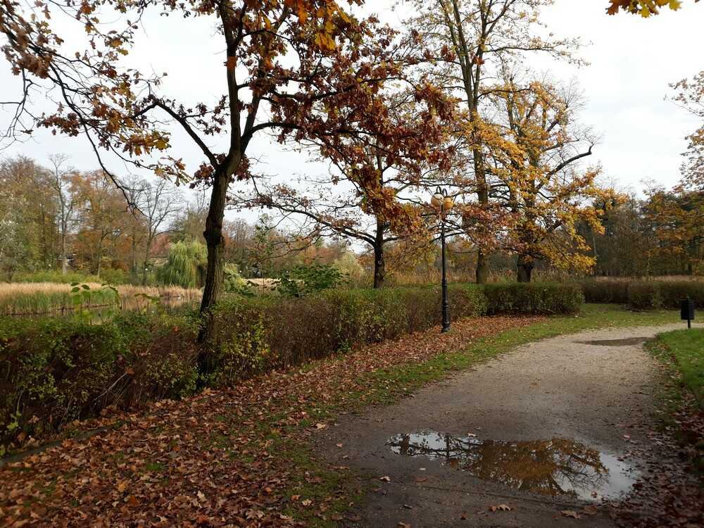 Park Sołacki w Poznaniu