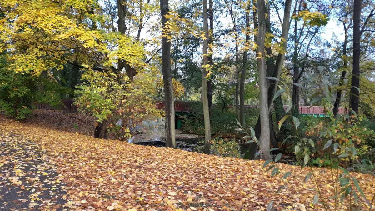 Park Sołacki w Poznaniu