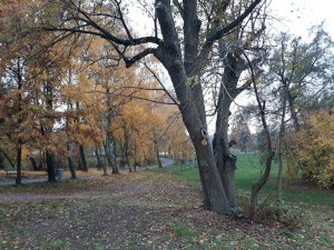 Strzeszynek Poznań