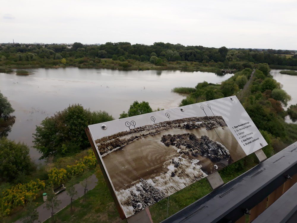 Park na Szachtach (Gliniankach) w Poznaniu