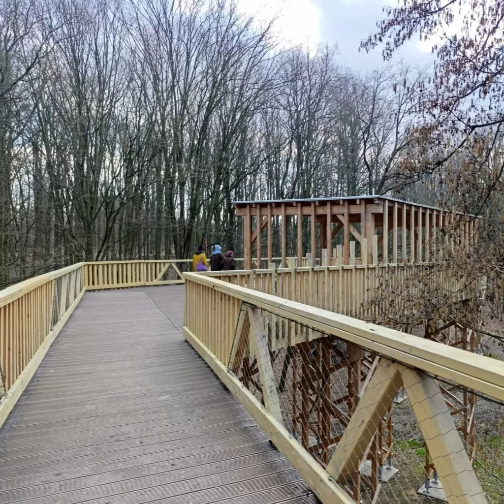 Ścieżka w koronach drzew nad doliną Szklarki