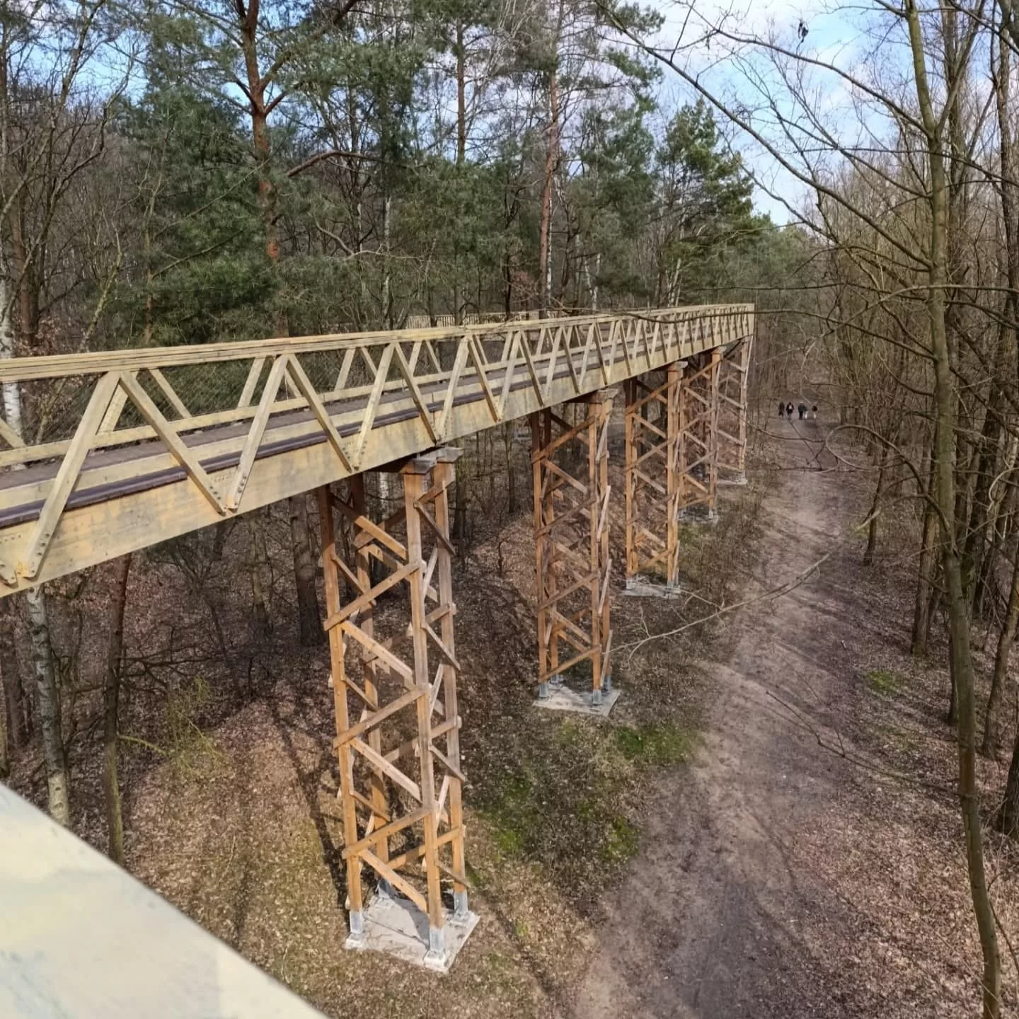 Ścieżka w koronach drzew nad doliną Szklarki