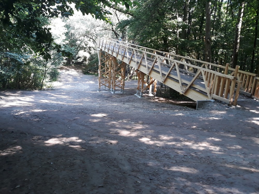 Ścieżka w koronach drzew nad doliną Szklarki