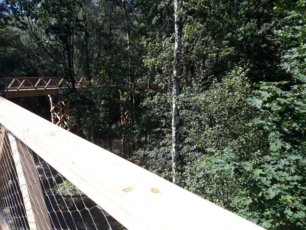 Ścieżka w koronach drzew nad doliną Szklarki