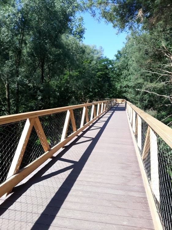 Ścieżka w koronach drzew nad doliną Szklarki