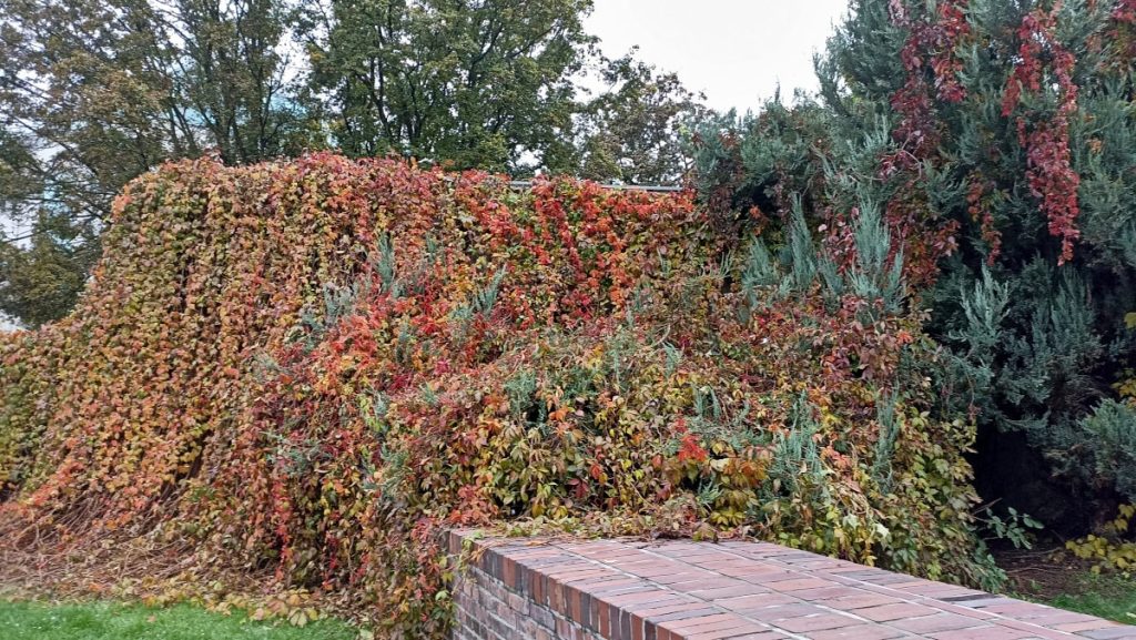 Park Fryderyka Chopina w Poznaniu