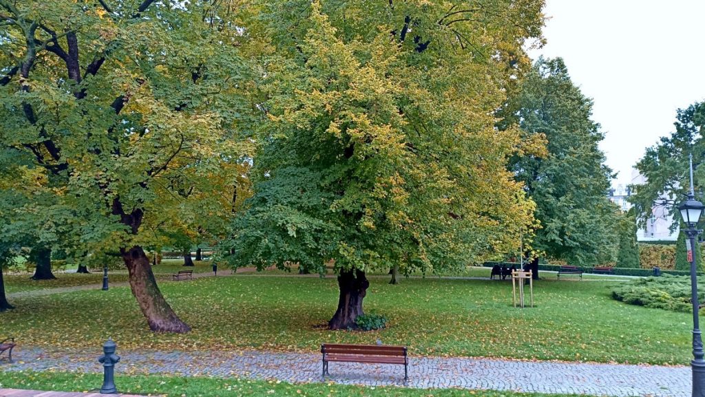 Park Fryderyka Chopina w Poznaniu