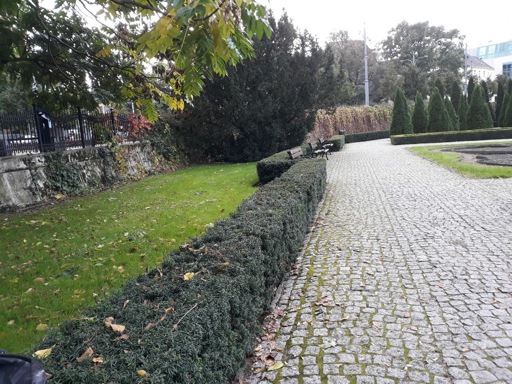 park fryderyka Chopina