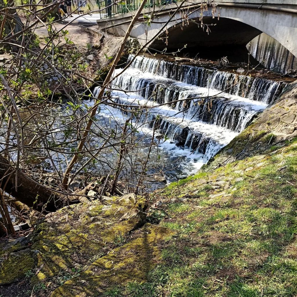 Park Sołacki w Poznaniu