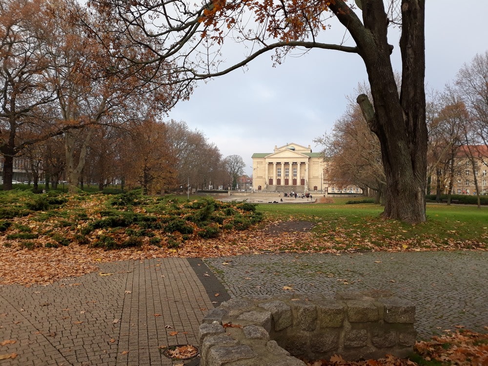 Park Mickiewicza zimą