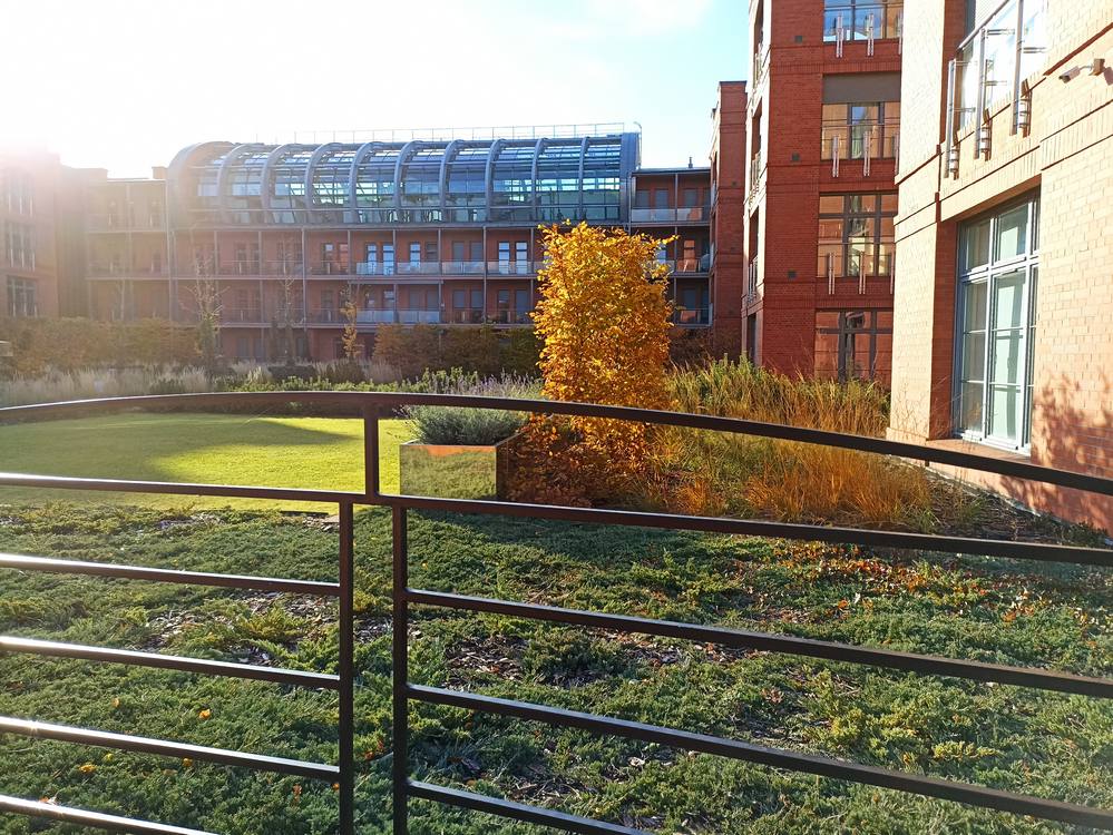 City Park Hotel & Residence i małe centrum handlowe