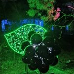 Lumina Park – Magiczny las w Poznaniu