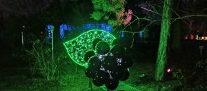Lumina Park – Magiczny las