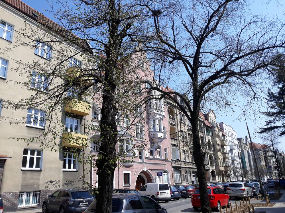 ul. Niegolewskich Łazarz