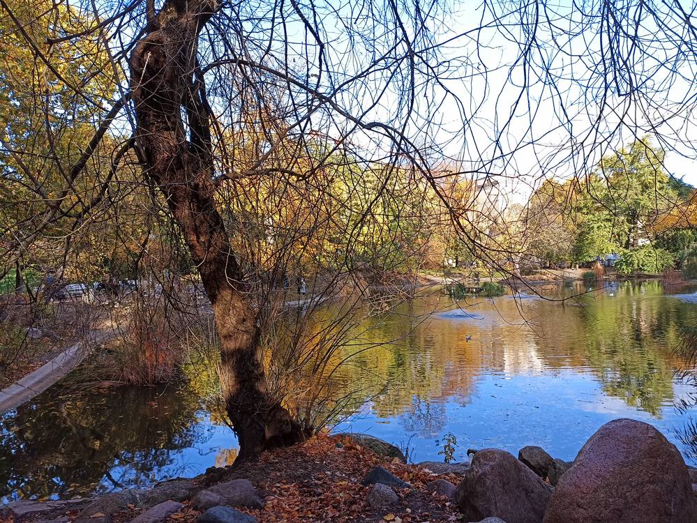Park Wilsona w Poznaniu