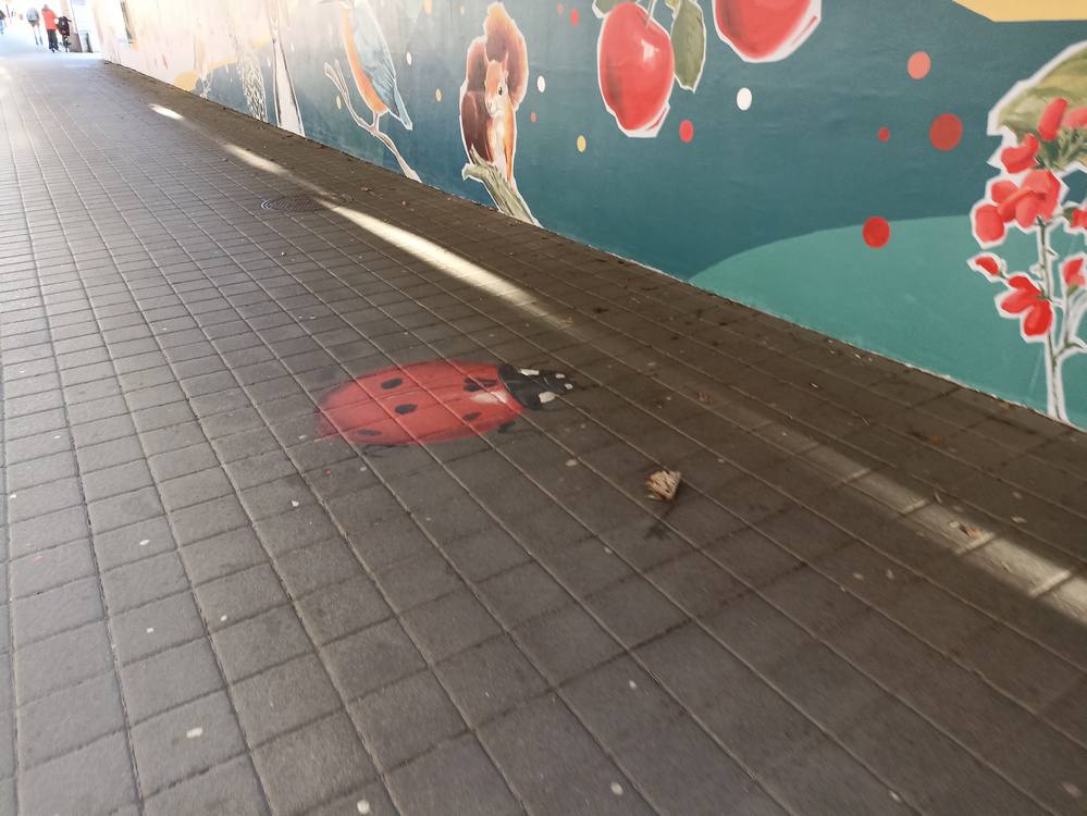 mural uniwersytet przyrodniczy w Poznaniu