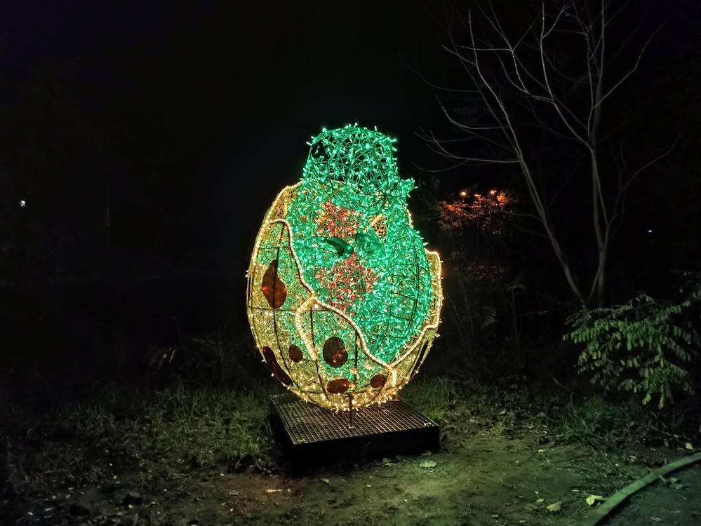 lumina park filmowy las