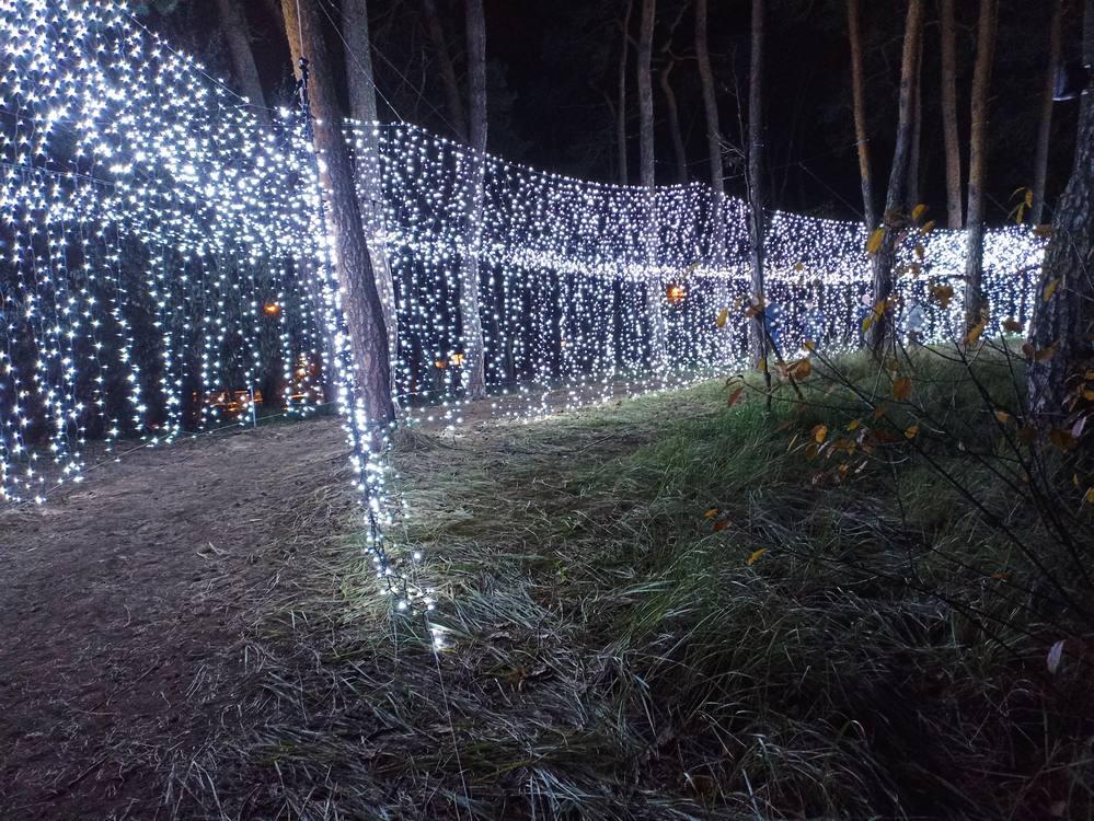 Lumina Park - Filmowy Las w Poznaniu dekoracje