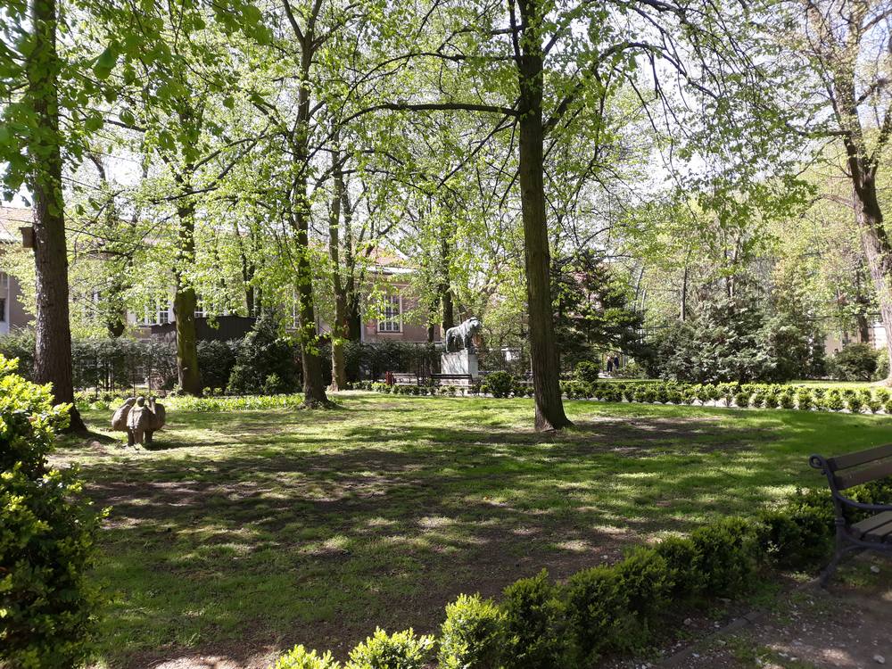 Pomnik Lwa w Starym ZOO zdjęcie