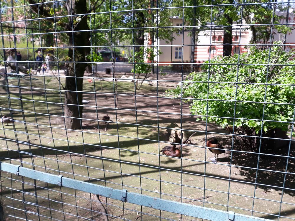 Ptaszarnia w starym zoo w poznaniu