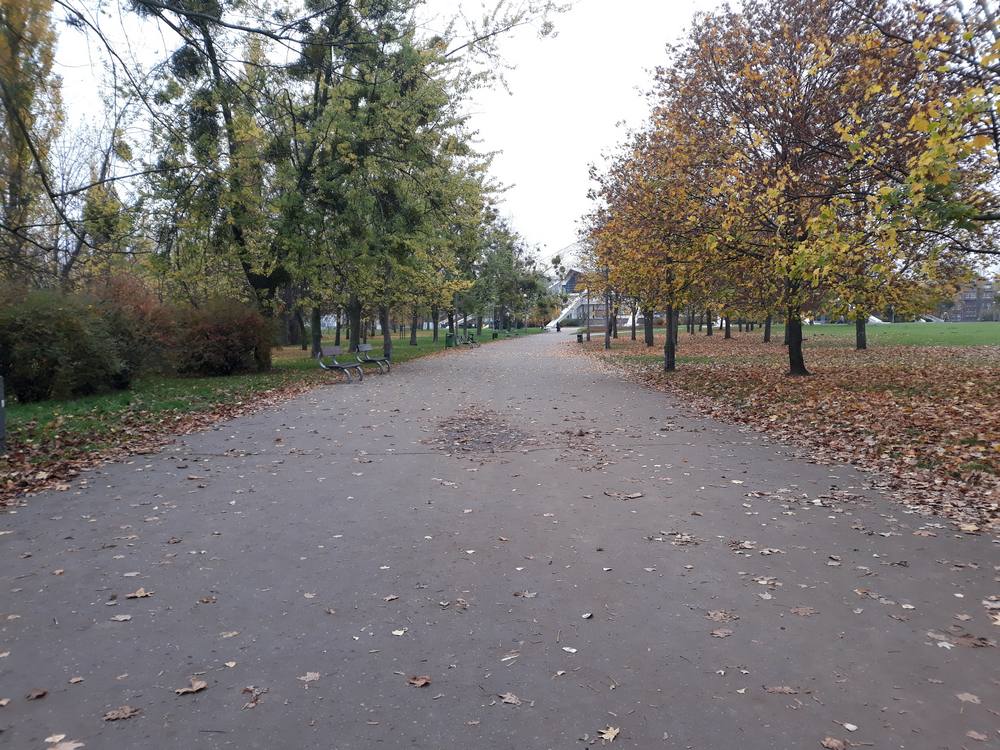 Park Kasprowicza w Poznaniu zdjęcie