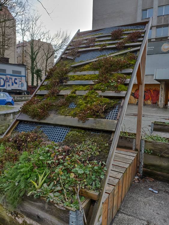 Budynek Dawnego kina Olimpia