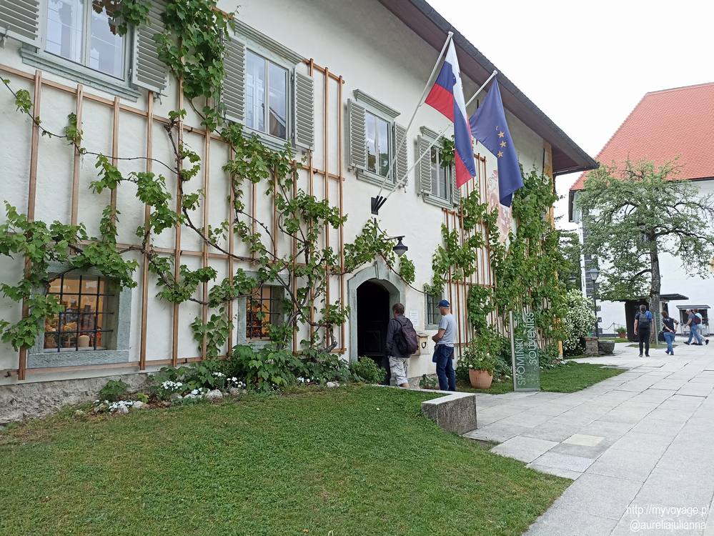 Budynki na wyspie Blejski Otok