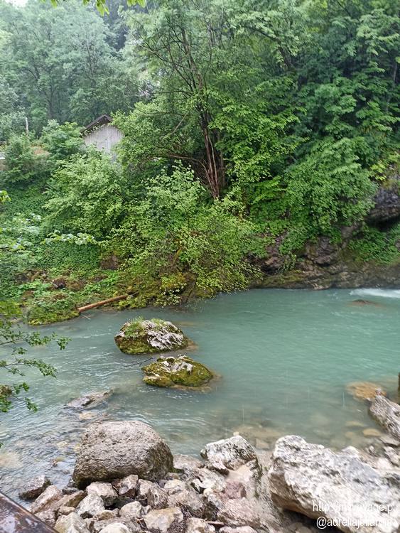 Wąwóz Vintgar - wyjątkowa atrakcja w Alpach Julijskich