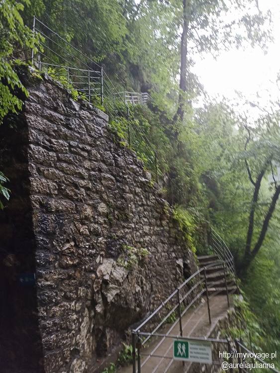 widoki po wyjściu z jaskiń szkocjańkich Słowenia