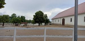 Stadnina koni w Lipicy