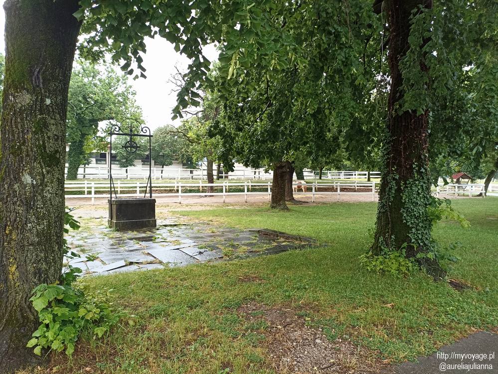 Stadnina koni w Lipicy