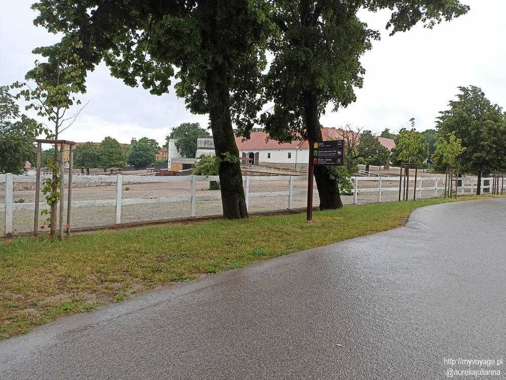 Stadnina koni w Lipicy