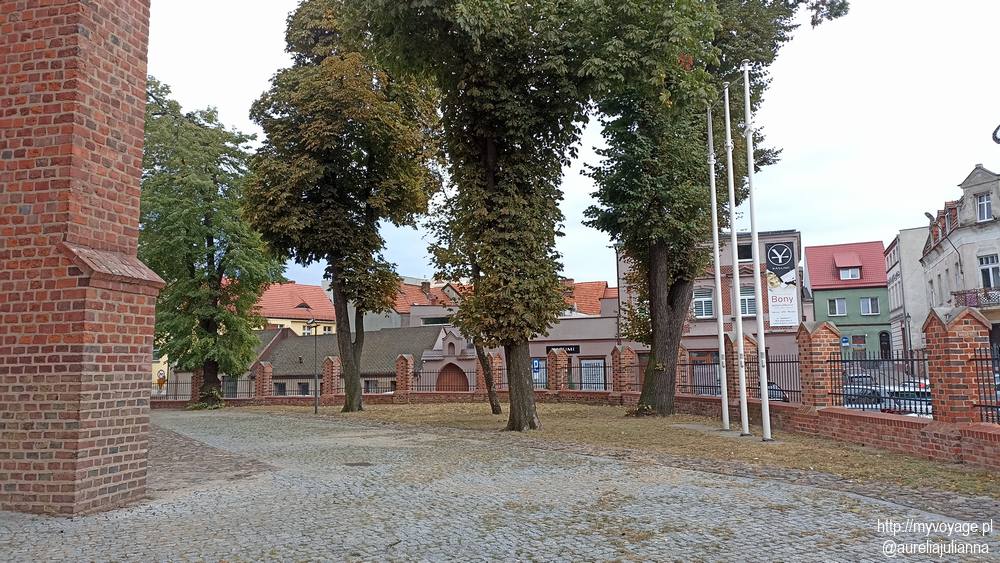 Kościół Wniebowzięcia NMP w Środzie Wielkopolskiej