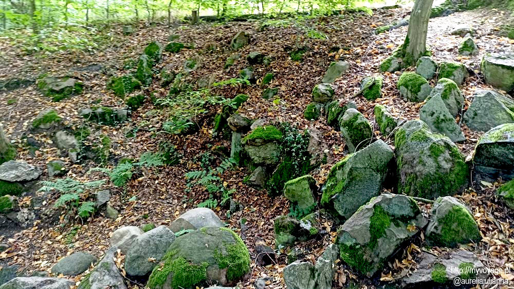 brzegi strumienia przepływającego przez posiadłość