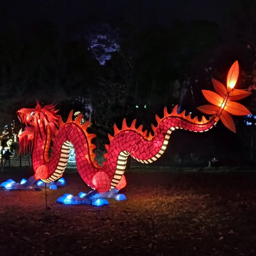 Smok Lumina Park - Botaniczna Podróż
