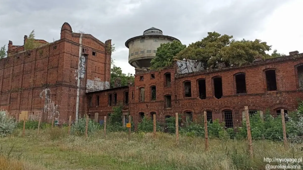 Młyn Hermanka – stary młyn na Poznańskiej Wildzie