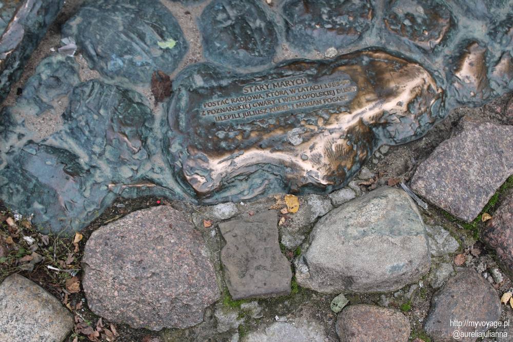 Kamienie z nazwami sponsorów pomnika Starego Marycha