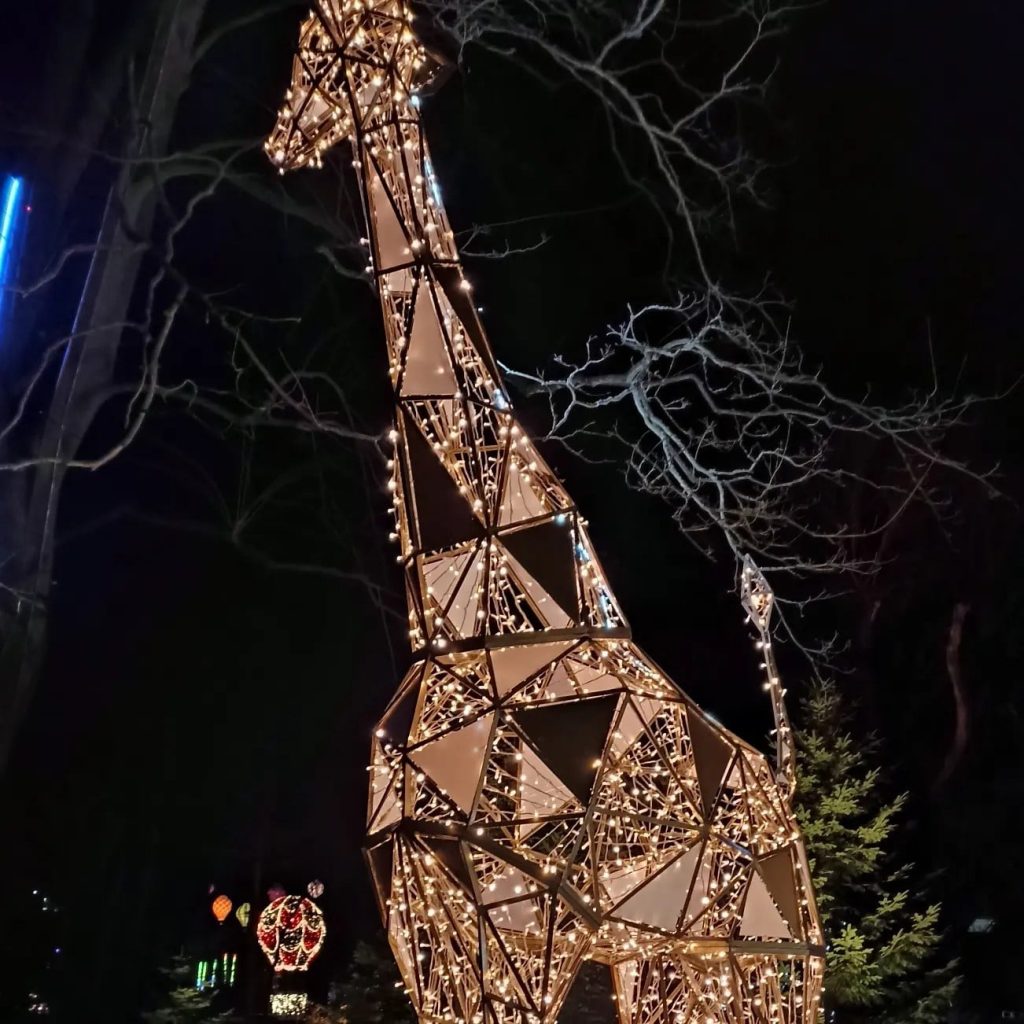 Lumina Park - Botaniczna Podróż