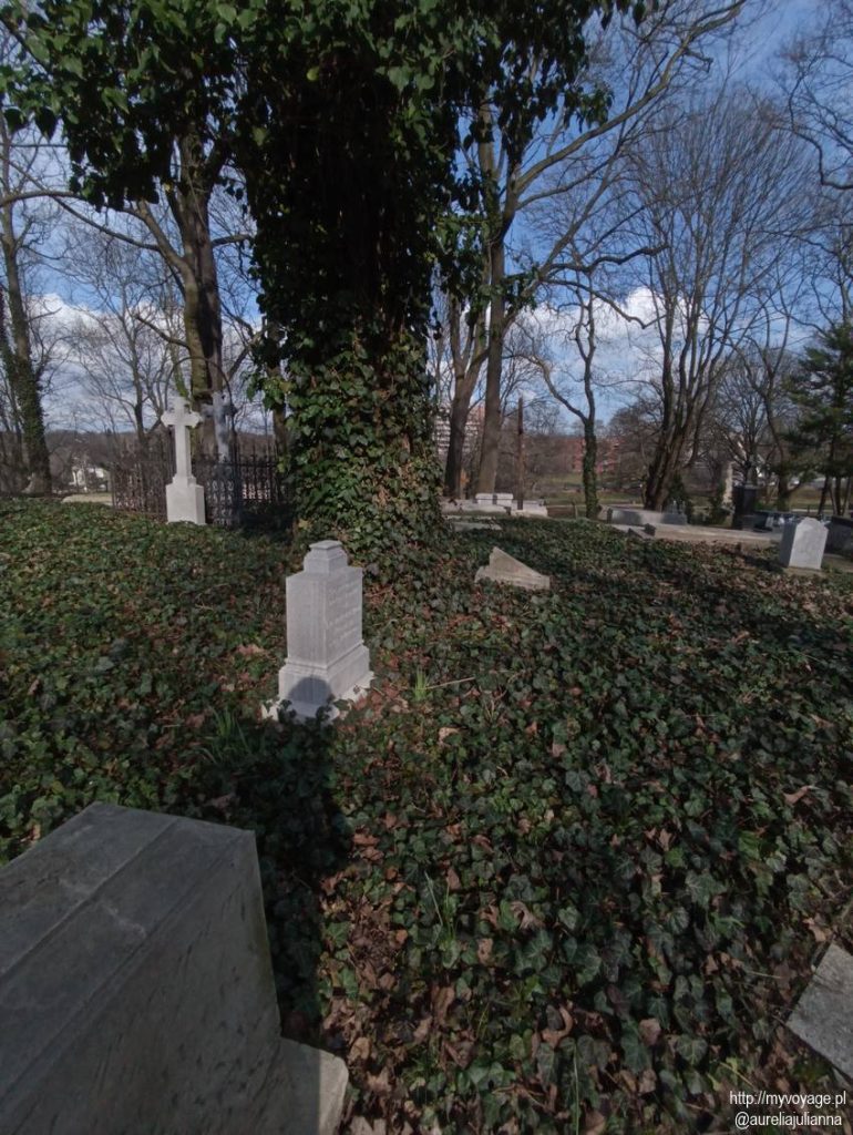 Cmentarz Zasłużonych Wielkopolan