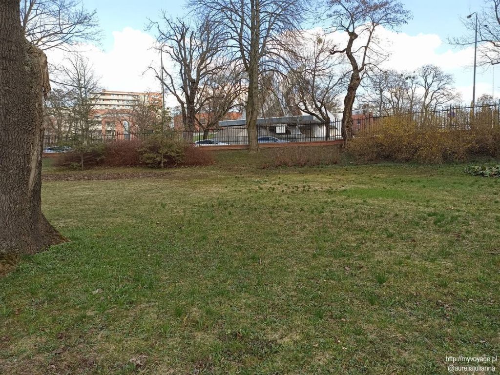 Cmentarz Zasłużonych Wielkopolan