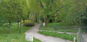 Park ks. Feliksa Michalskiego w Poznaniu