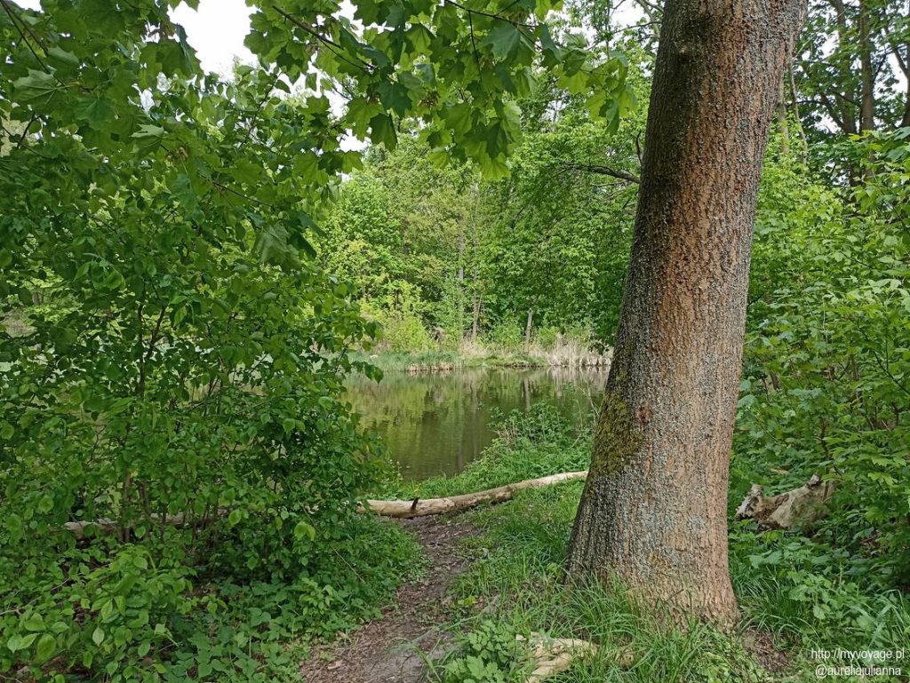 Park Dalhmana przy zbiorniku wodnym