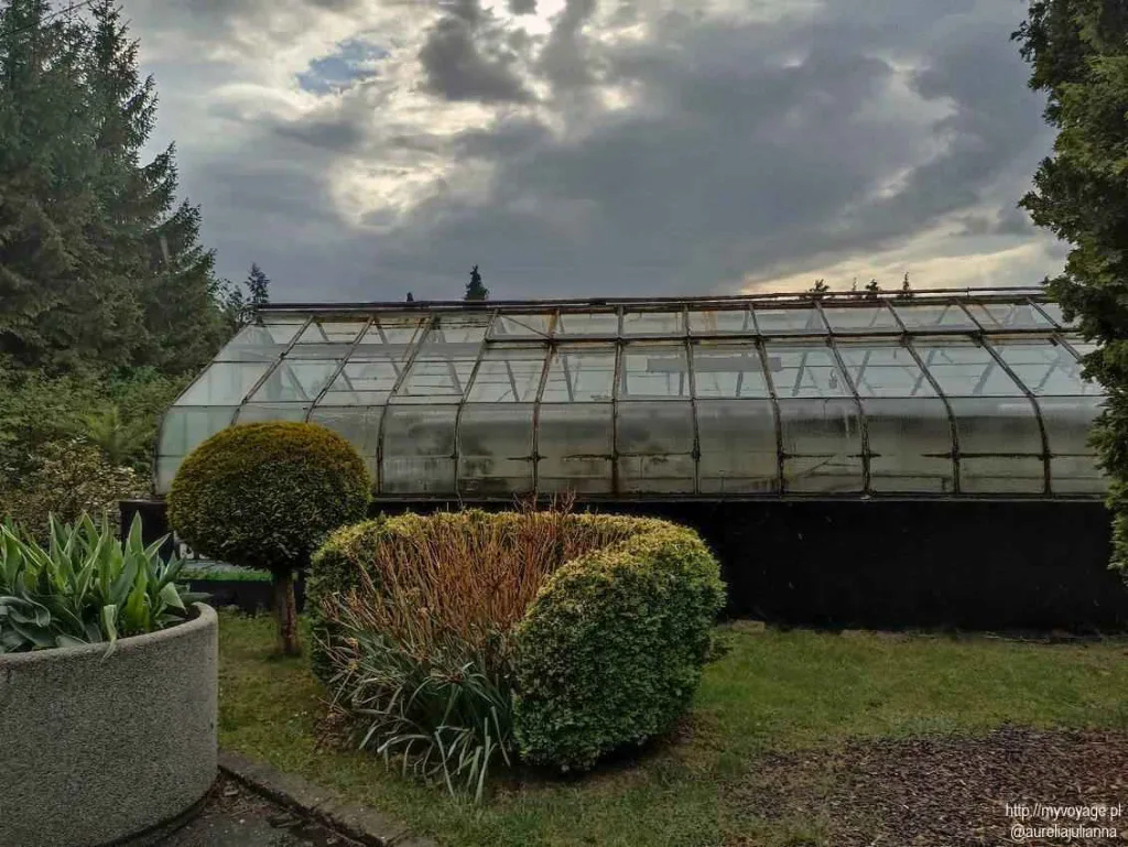 Palmiarnia Zamku Książ w Wałbrzychu