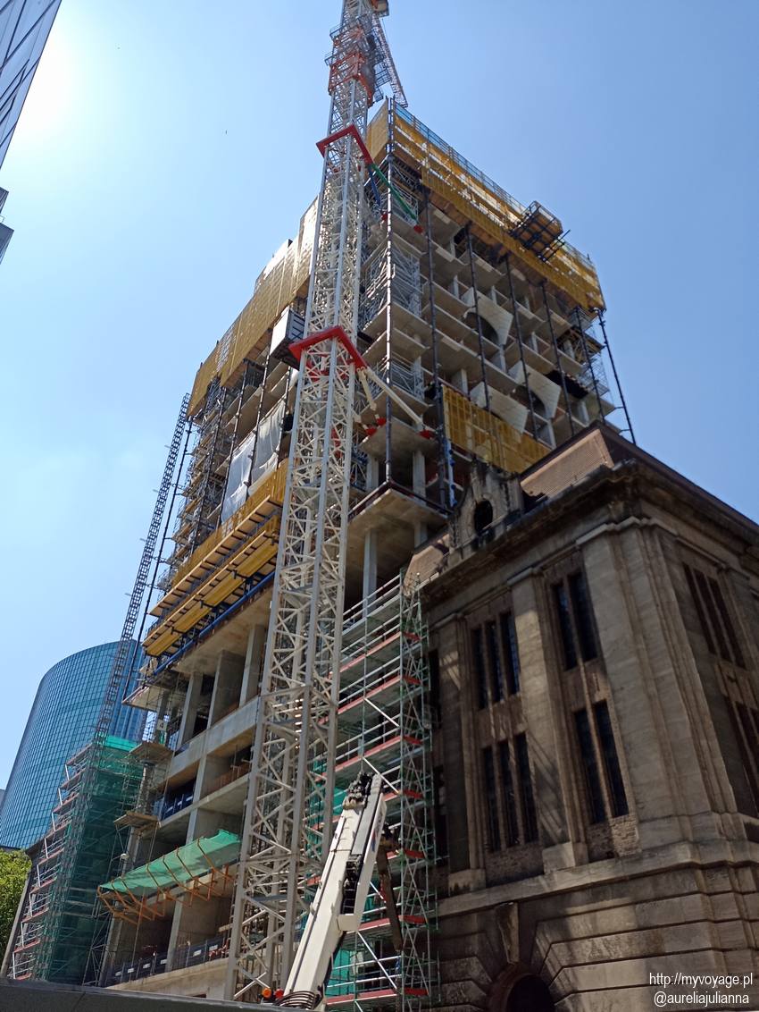 zabudowa Rotterdamu Holandia