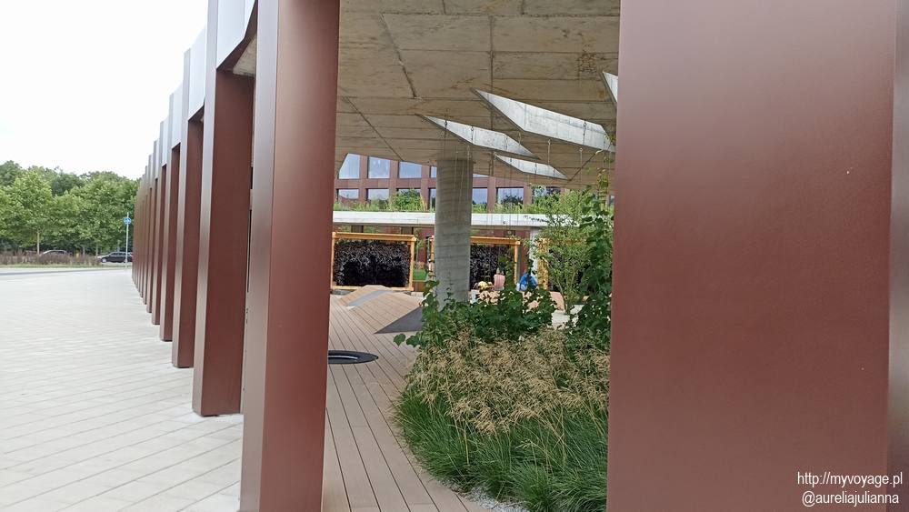 Nowy Rynek w Poznaniu