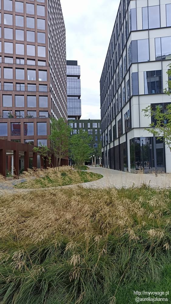 Nowy Rynek w Poznaniu